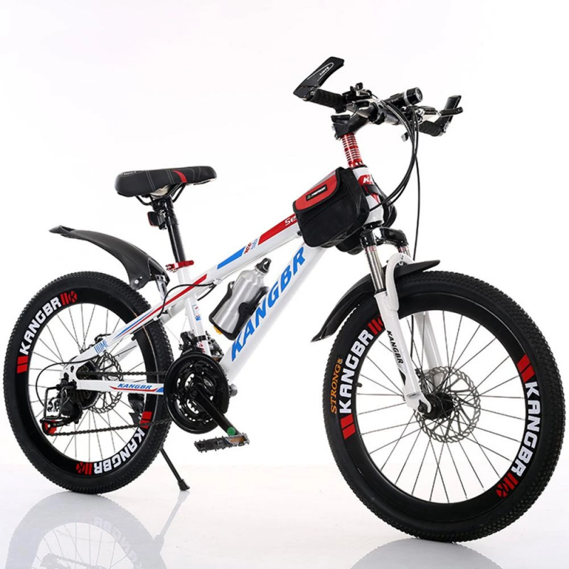 21-Speed Mountain Bike with Disc Brake and Fender