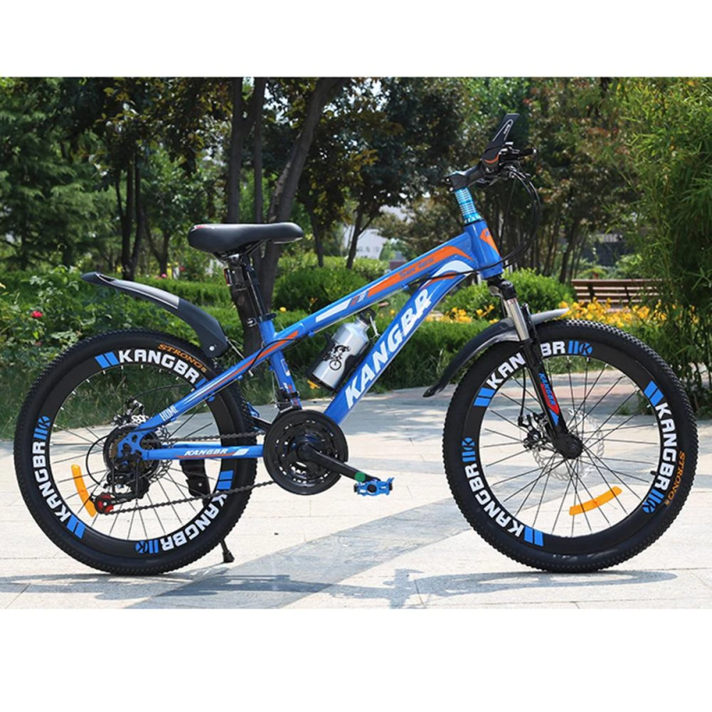 21-Speed Mountain Bike with Disc Brake and Fender