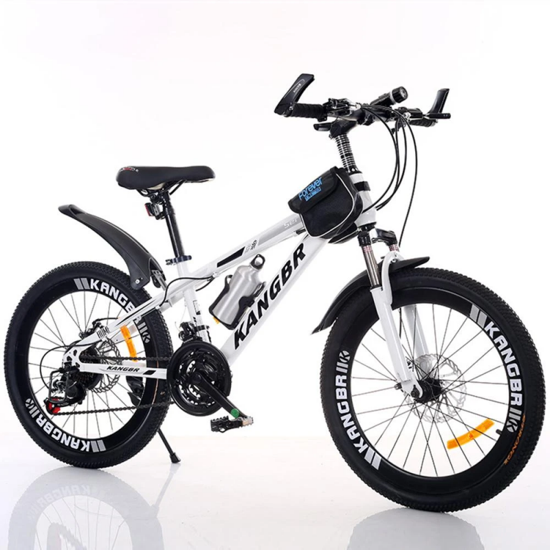 21-Speed Mountain Bike with Disc Brake and Fender